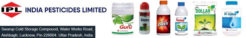 BPacupuncture