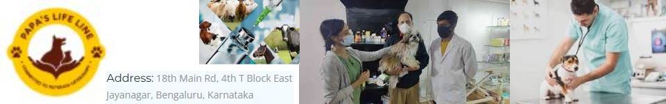 BPacupuncture